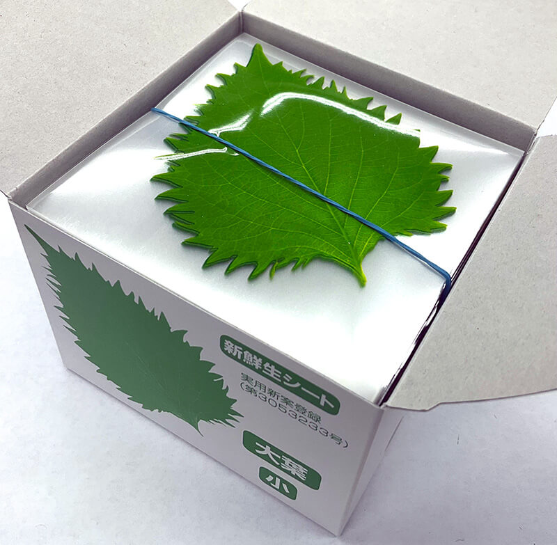 052_4101 大葉 小(1000枚)