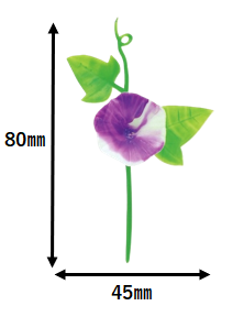 128_A-42 朝顔 紫ツートン(600個)