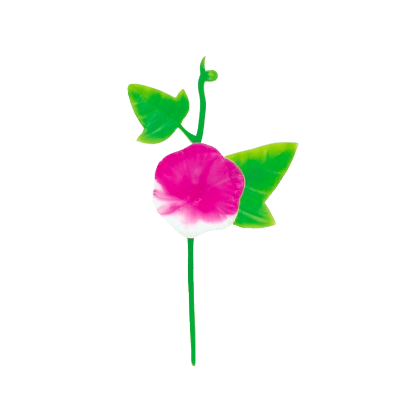 129_A-43 朝顔 ピンクツートン(600個)