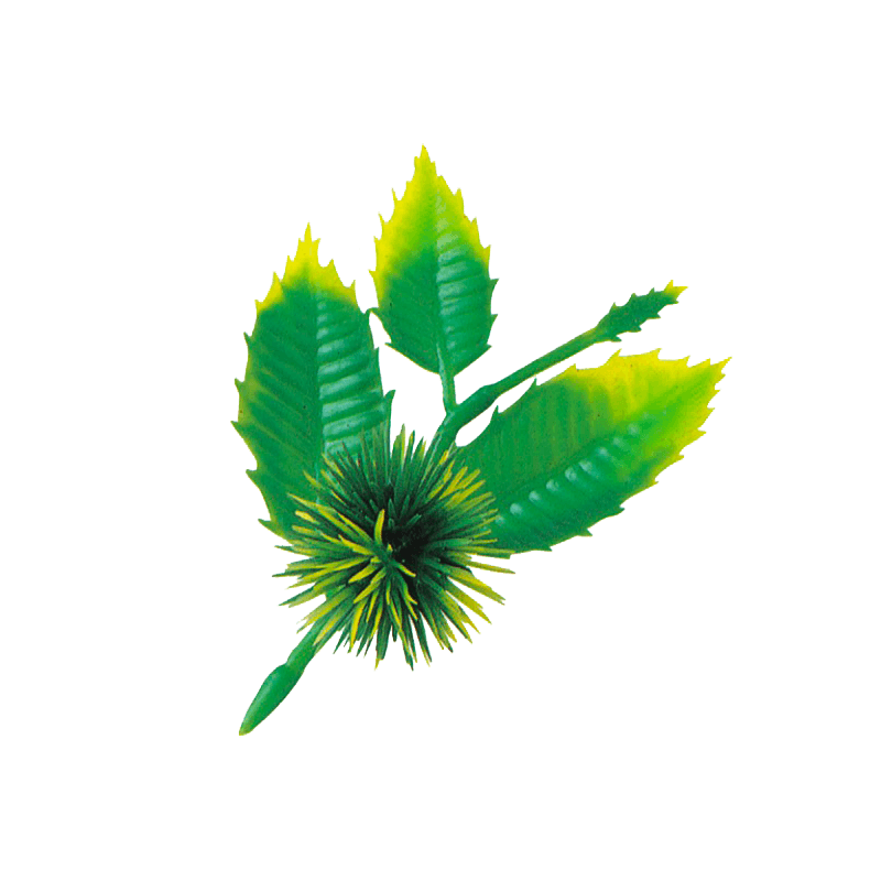 131_A-49 くり グリーン(200個)