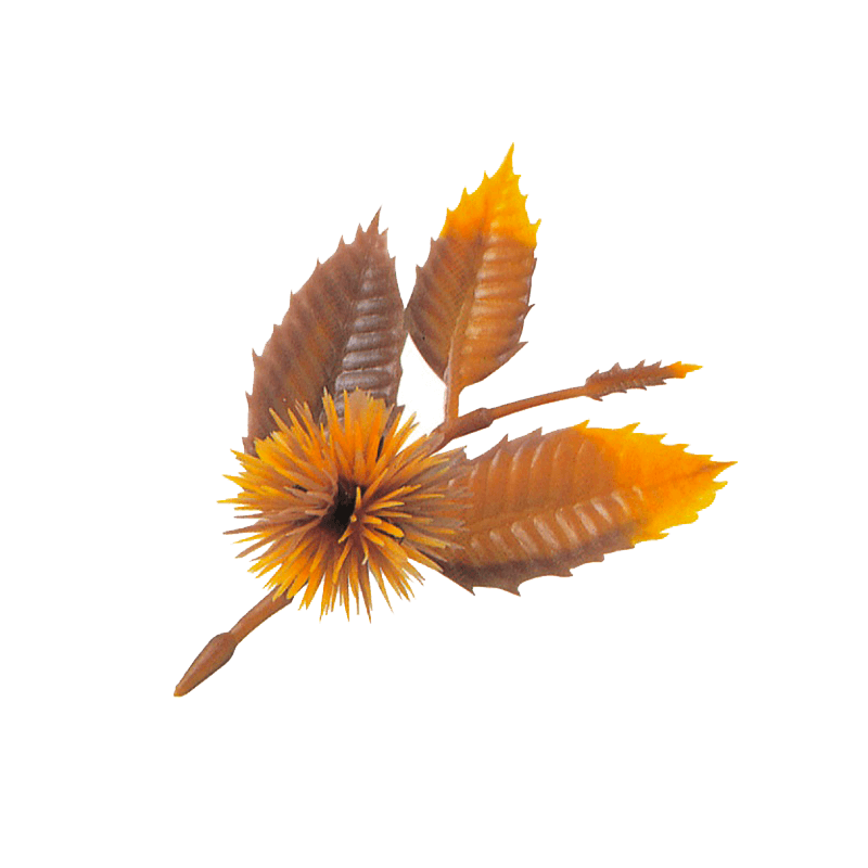 132_A-50 くり 茶(200個)