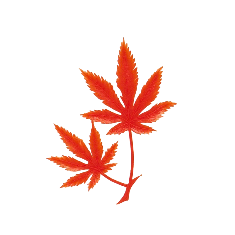 136_A-74 二ツ葉もみじ 赤(1200個)