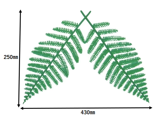 148_A-98 ウラジロ 大(60個)