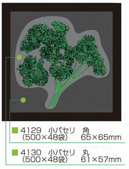 071_4130 小パセリ 丸(500枚)