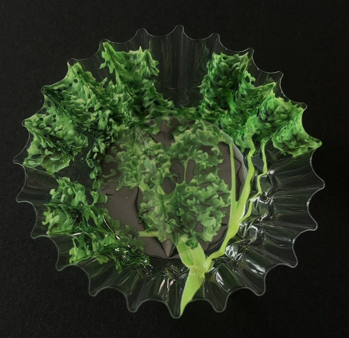 217_07AA-113 フレッシュ生ケース小 パセリ(200枚)