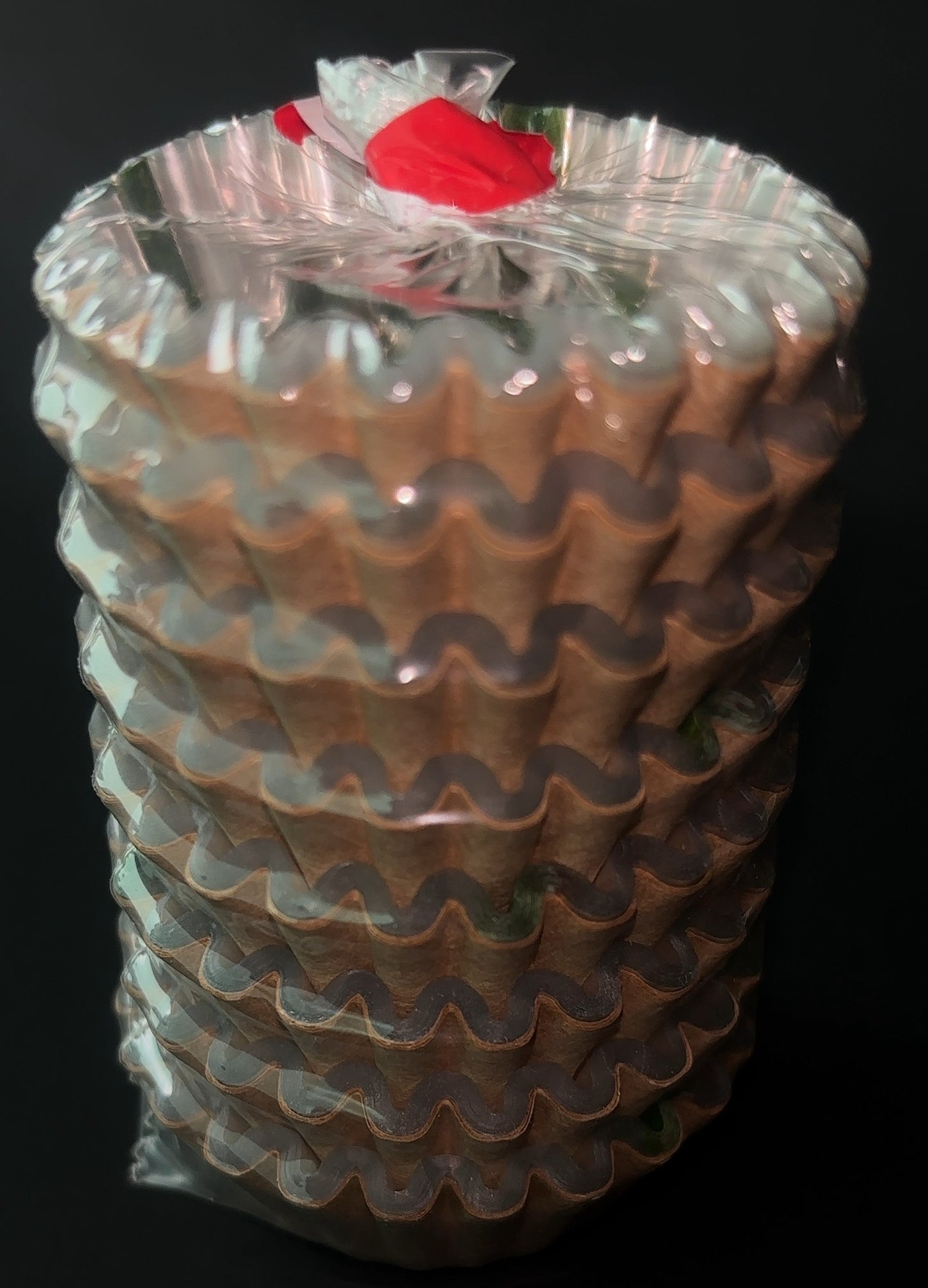 218_07AA-114 フレッシュ生ケース小 南天(200枚)