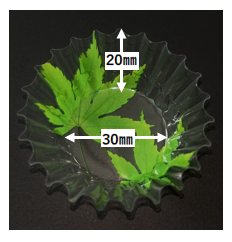 216_07AA-112 フレッシュ生ケース小 もみじ緑(200枚)