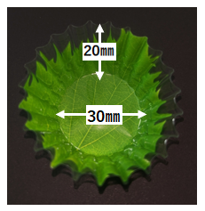 214_07AA-110 フレッシュ生ケース小 大葉(200枚)