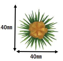094_A-109 金松ボックリ 小(500個)
