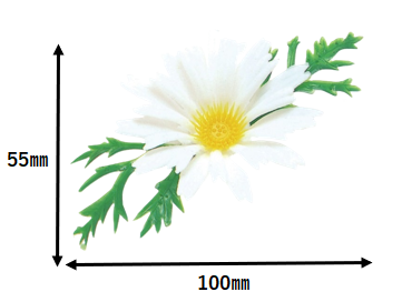 097_A-65 デイジー 白(400個)