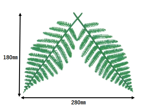 147_A-97 ウラジロ 中(200個)