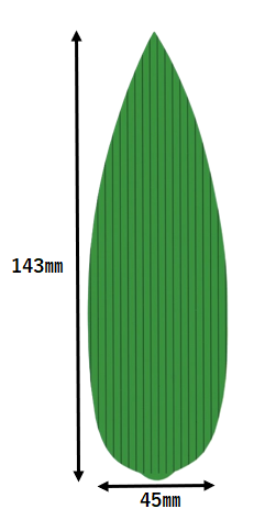 031_S-42 笹葉 中 (1000枚)