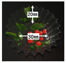 218_07AA-114 フレッシュ生ケース小 南天(200枚)
